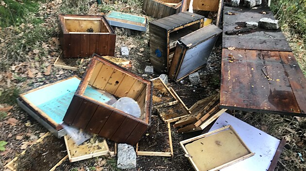 Včelaři z Mníšku u Liberce přes noc vandal rozdupal úly a usmrtil včelstva.