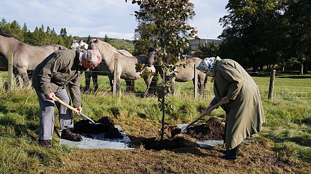 Princ Charles a krlovna Albta II. zasadili strom v Balmoral Cricket Pavilion u pleitosti oficilnho zatku vsadby strom k platinovmu jubileu panovnice, kter oslav v roce 2022. (Balmoral, 1. jna 2021)