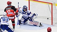 Utkání 12. kola hokejové extraligy: Mountfield Hradec Králové - HC Kometa Brno....