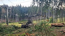 Na Tanvaldském �pi�áku probíhá rozsáhlé kácení.