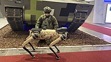 Na pomoc vojákm vyvinula nmecký firma Rheinmetall speciálního tynohého...