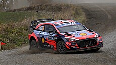 Ott Tänak pi Finské rallye.