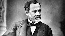 Chemik a mikrobiolog Louis Pasteur
