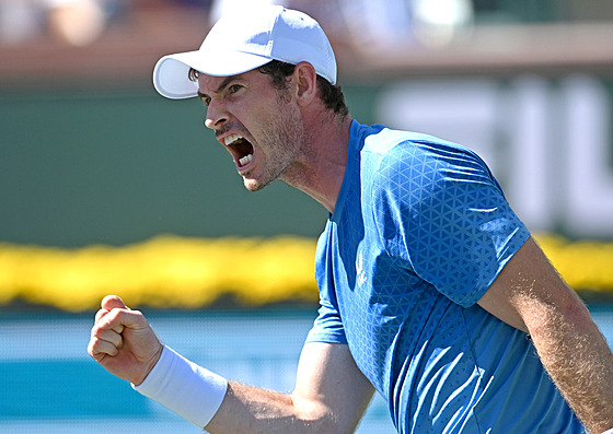 Brit Andy Murray se hecuje na turnaji v Indian Wells.