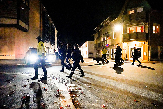 Pi útoku v norském mst Kongsberg nedaleko Osla pilo nkolik lidí o ivot....