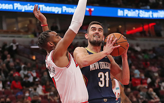 Tomá Satoranský z New Orleans Pelicans se tlaí ke koi Chicago Bulls, brání...