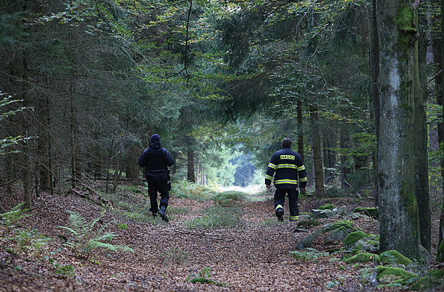 Monitor rojnice i databáze psovodů. Jak funguje aplikace na pátrání po lidech