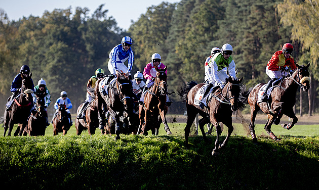 První kvalifikaci na Velkou pardubickou vyhrál Del Rey, o nos porazil Theophilose