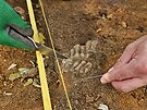 Archeologov odkrvaj kostern nlez nohy.