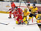 Utkání 14. kola hokejové extraligy: HC Olomouc - HC Verva Litvínov. Ped...