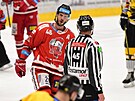 Utkání 14. kola hokejové extraligy: HC Olomouc - HC Verva Litvínov. David...