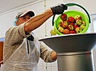Obecn motrna v Dubenci zpracuje denn pl tuny ovoce (8. 10. 2021).