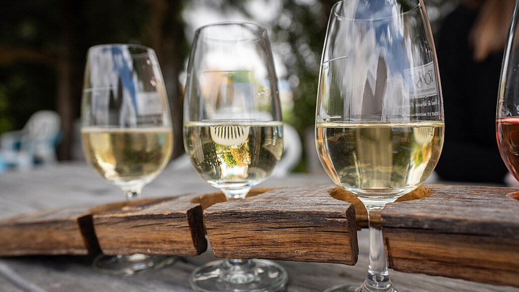 Degustace vína na Novém Zélandu