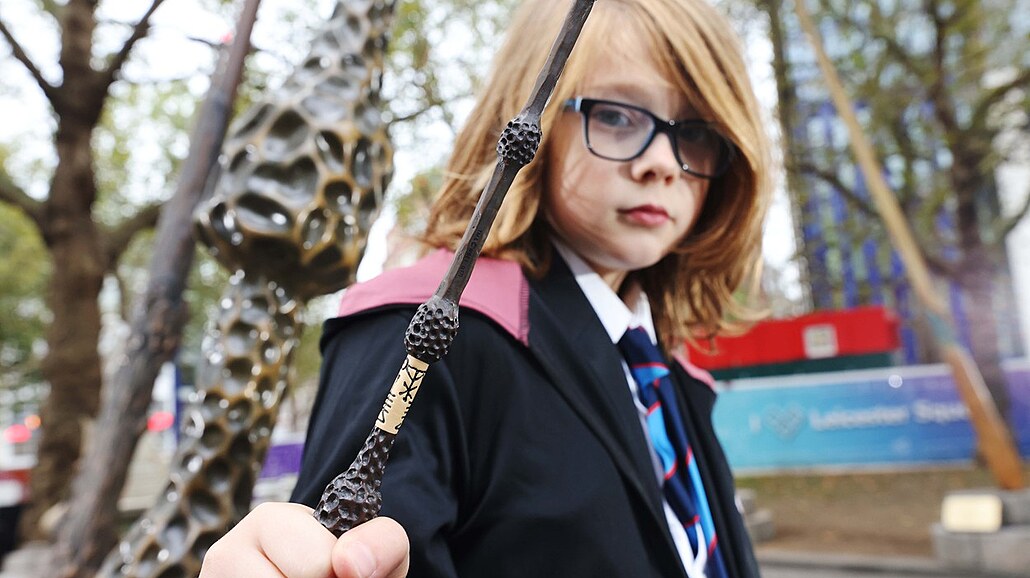 Harry Potter došel. Britské řetězce hlásí před Vánoci nedostatek hraček