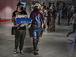 Comic-Con Prague vychází ze zahraniního konceptu, který má za sebou ji více...