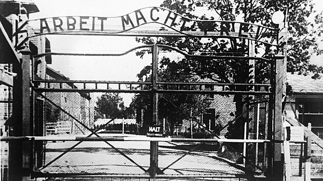 V Osv�timi zem�elo tém�� 90 procent zde v�zn�ných sokol�.
