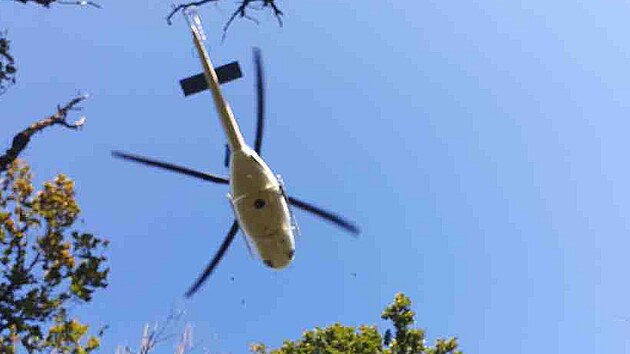 V lese na Brněnsku spadla dívka z koně, do nemocnice ji transportoval vrtulník. (9. října 2021)