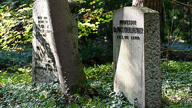 Nhrobek idovskho uence Maxe Friedlndera na hbitov v nmeckm Brandenburgu.