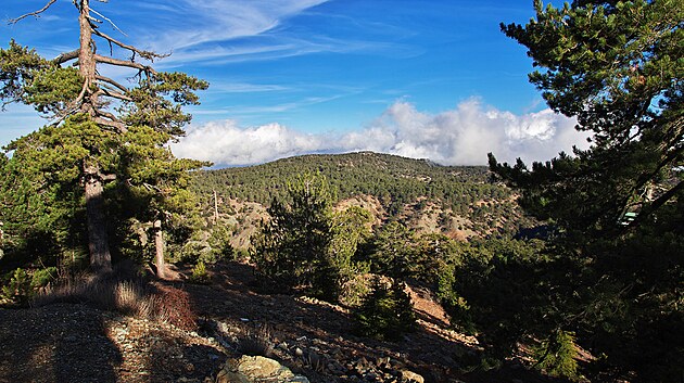 Poho Troodos (Jin Kypr). Najdete zde krsnou produ, horsk vesniky, star kltery a vinask obce.