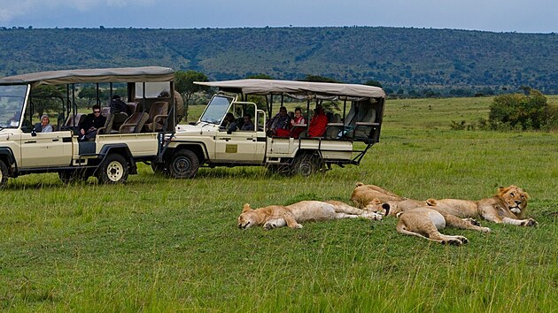 Turist, kte se hon za velkou ptkou, maj i sv pojmenovn. k se jim ferrari safari - v jihoafrickm slangu jsou to lid, co se t od slona k nosoroci a buvolovi a pak jedou dom a kaj tomu krsn den.