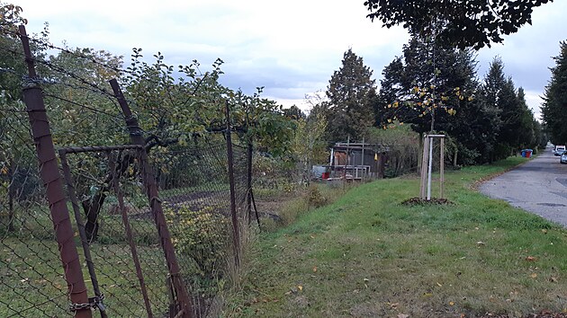 Zahr�dk��sk� kolonie v Olomouci