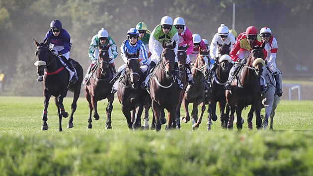 Startovn pole Velk pardubick se bl na jednu z pekek.