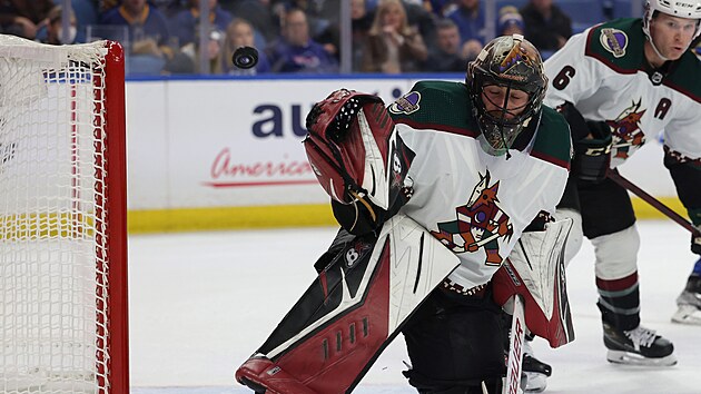 Karel Vejmelka pi svm debutu v brance Arizony Coyotes.