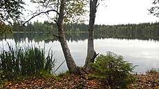 Kladská díky vegetací p�ipomíná severskou tajgu.