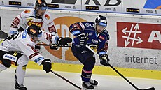 Utkání 14. kola hokejové extraligy: PSG Berani Zlín - HC Sparta Praha. Zleva...