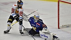 Utkání 14. kola hokejové extraligy: PSG Berani Zlín - HC Sparta Praha. Zleva...