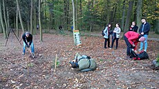 Primátor Zden�k H�ib sází strom� v Kunratickém lese.