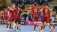 �eská radost na turnaji Euro Floorball Tour v zápase proti Finsku.