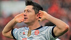 Robert Lewandowski z Bayenu oslavuje jedenu ze svých tref do sít� Leverkusenu.