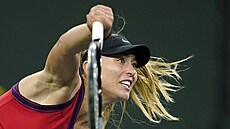 Paula Badosaová v semifinále turnaje v Indian Wells.
