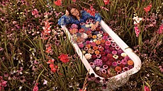 Answear - FotoSout�