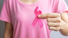 Tradiním symbolem se stala rová stuka a hlavn samotná rová barva, proto...