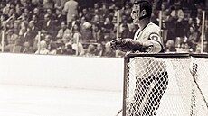 Kanadský hokejista Terry Sawchuk