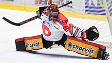 Pardubický branká Dominik Frodl dostává gól v zápase s Olomoucí.