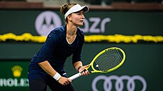 Barbora Krejčíková na turnaji v Indian Wells