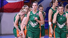 Basketbalistky Žabin Brno