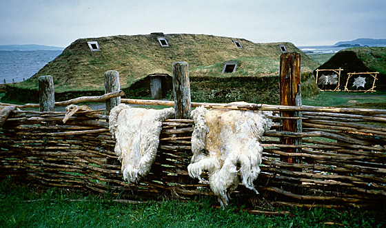 Rekonstrukce vikingské osady v lokalit L'Anse aux Meadows' na nejsevernjím...
