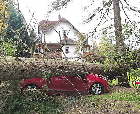 Na Karlovarsku spadl kvli silnému vtru strom na zaparkované auto i na chatu....
