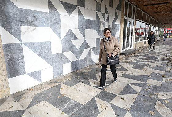 Mozaika se nachází v litvínovské Studentské ulici.