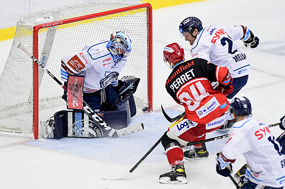 Utkání 16. kola hokejové extraligy: Mountfield Hradec Králové - Bílí Tygi...