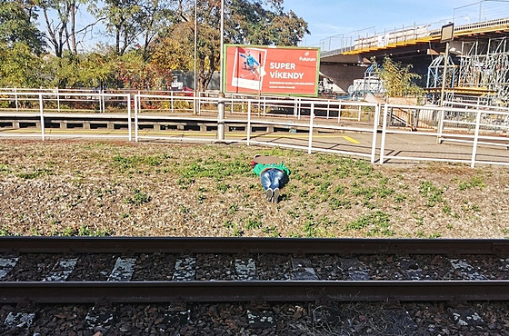 Muž se rozhodl vyčkat na vlak mezi kolejemi.