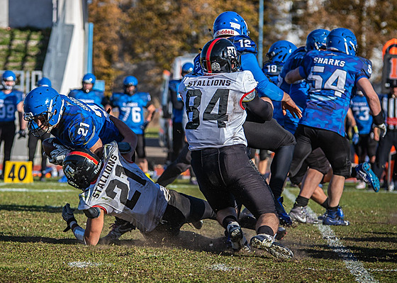 Momentka z klání o Silver Bowl mezi Tincem (modrá) a Pardubicemi