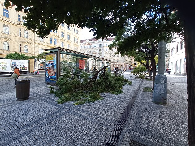 Dobrý den,milá redakce.Dnes silný poryv vtru zlomil na Strossmayerovém námstí strom.Kolemjdouci  se na nj smutn dívali.Posílám k otitní do Vaich novin.