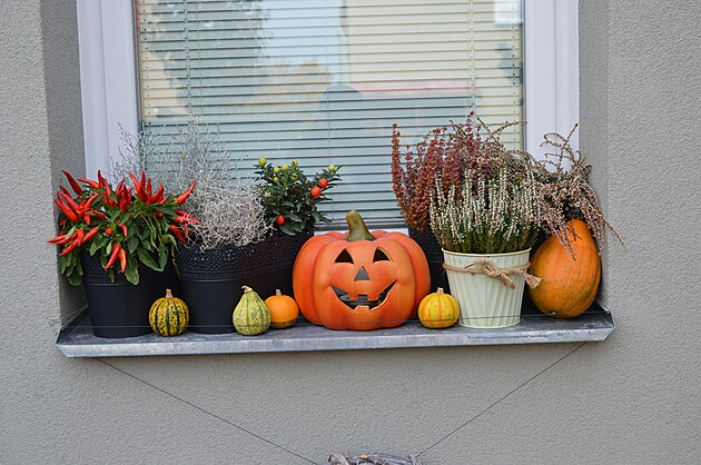 Letanský Halloween. Halloween je pvodn keltský lidový svátek, který se slaví 31. íjna, tedy den ped kesanským svátkem Vech svatých. Svátek se zachoval pedevím v anglosaských zemích. Nicmén se dá íci, e pomalu zdomácnl i u nás. Výmluvným d