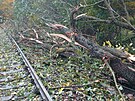 Správa železnic musela od rána řešit spadlé stromy na trakčním vedení...