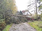Na Karlovarsku spadl kvůli silnému větru strom na zaparkované auto i na chatu....
